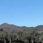 La Flor Del Naranjo Cadalso