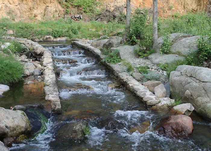 La Flor Del Naranjo * Кадальсо