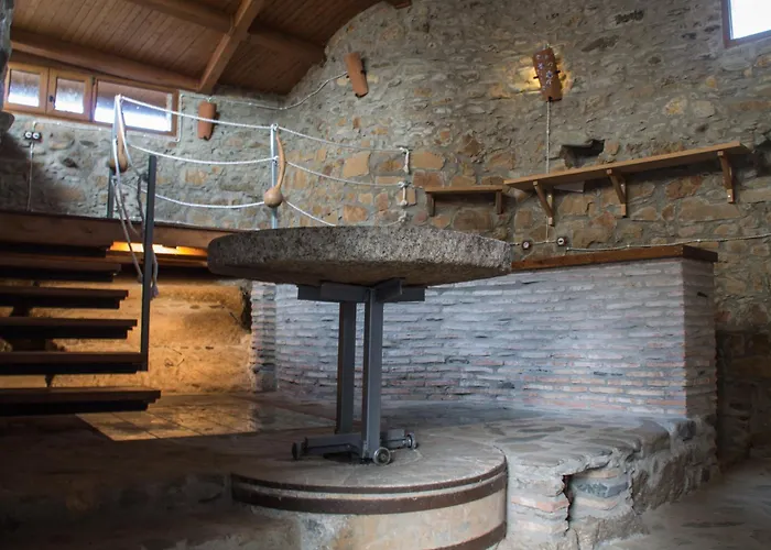 La Flor Del Naranjo *