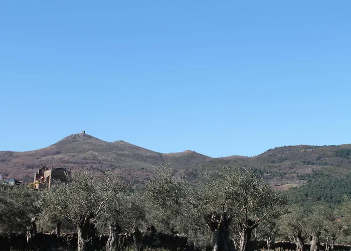 La Flor Del Naranjo Кадальсо