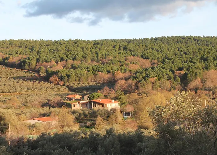 La Flor Del Naranjo * Кадальсо