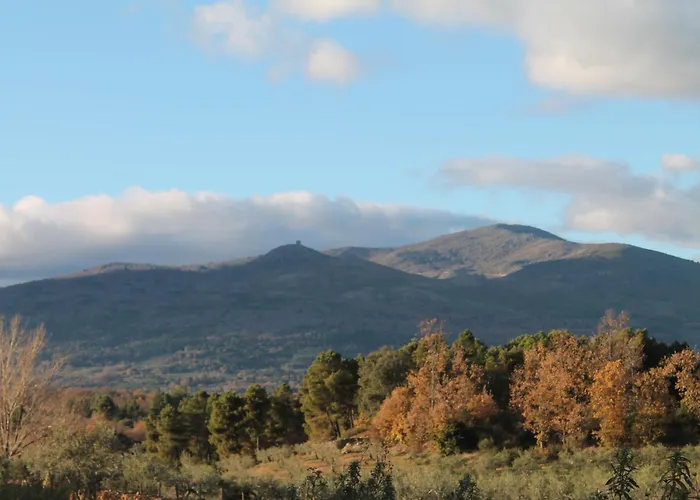 La Flor Del Naranjo * Кадальсо
